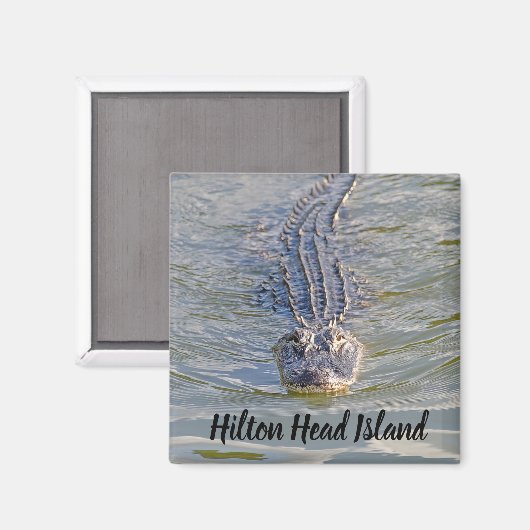 Hilton Head Alligator Magnet (Voorkant / Achterkant)