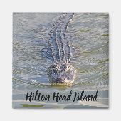 Hilton Head Alligator Magnet (Voorkant)