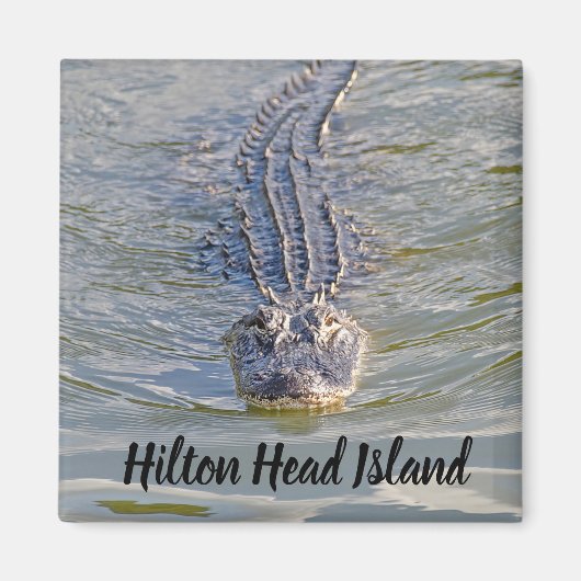 Hilton Head Alligator Magnet (Voorkant)