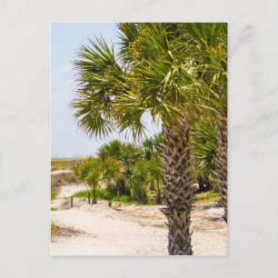 Hilton Head Georgia Beach and Ocean "South Beach" Briefkaart