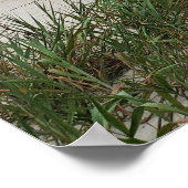 Hilton Head Island Beach Onweer Boardwalk Poster (Hoek)