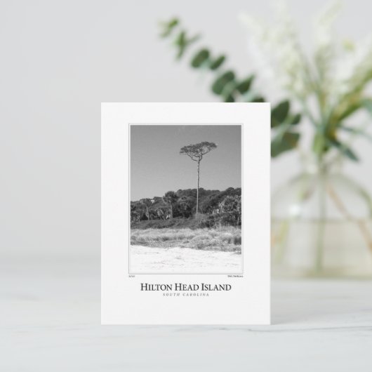 Hilton Head Island Briefkaart (Staand voorkant)