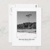 Hilton Head Island Briefkaart (Voorkant / Achterkant)