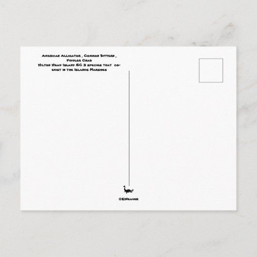 Hilton Head SC Native Wildlife Briefkaart (Achterkant)