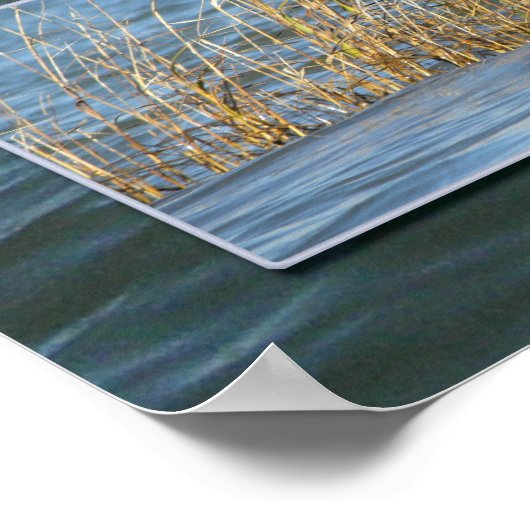 Hilton Head watertriptych Poster (Hoek)