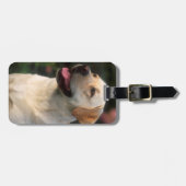 Hilton, portret van Labrador Retriever Bagagelabel (Voorkant horizontaal)