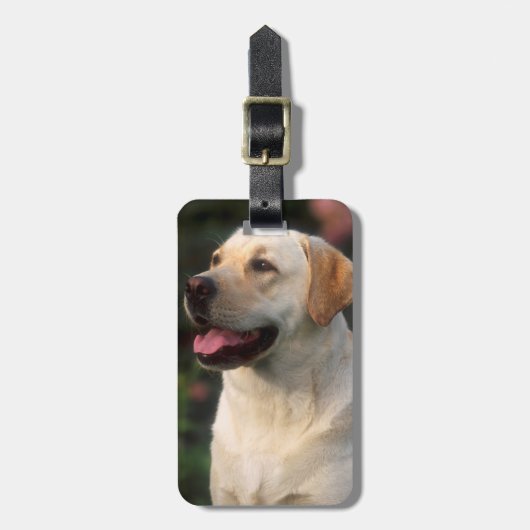 Hilton, portret van Labrador Retriever Bagagelabel (Voorkant verticaal)