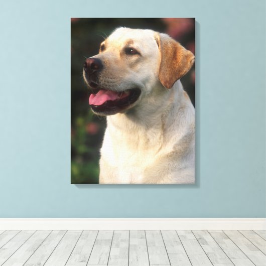 Hilton, portret van Labrador Retriever Canvas Afdruk (Insitu (Houten vloer))