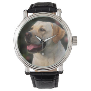 Hilton, portret van Labrador Retriever Horloge
