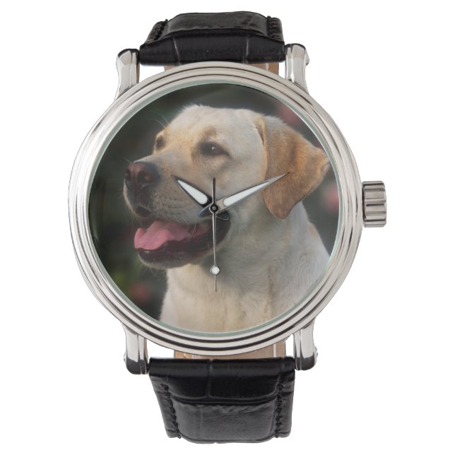 Hilton, portret van Labrador Retriever Horloge (Voorkant)