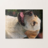 Hilton, portret van Labrador Retriever Legpuzzel (Horizontaal)
