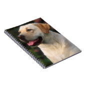 Hilton, portret van Labrador Retriever Notitieboek (Rechterzijde)