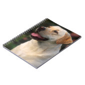 Hilton, portret van Labrador Retriever Notitieboek (Linkerzijde)