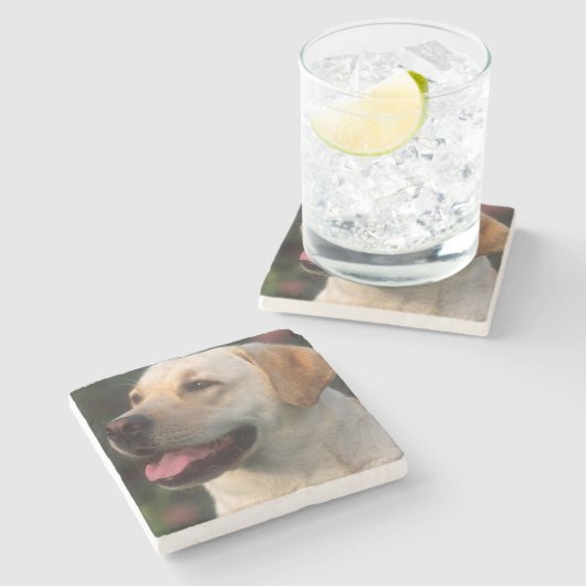 Hilton, portret van Labrador Retriever Stenen Onderzetter (Zijkant)