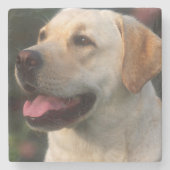 Hilton, portret van Labrador Retriever Stenen Onderzetter (Voorkant)