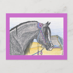 "Hilw bint Umm Ard" Briefkaart
