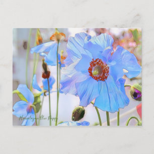 Himalaya Blue Poppy [Briefkaart] Briefkaart