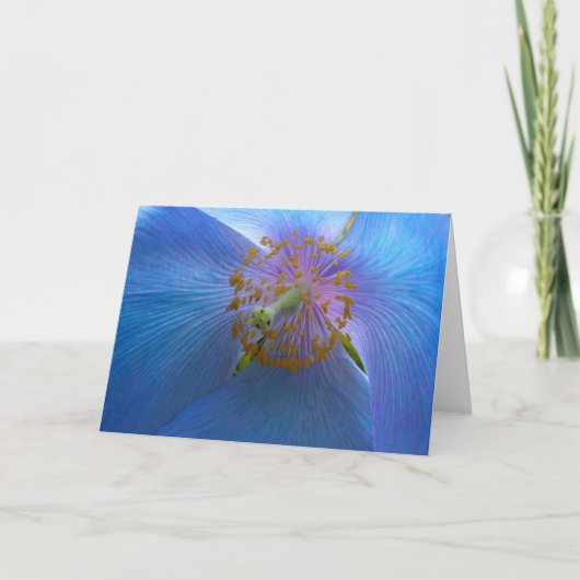 Himalaya Blue Poppy Kaart (Voorkant)