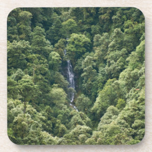 Himalaya-bos in de Mangdue-vallei, Bhutan Bier Onderzetter