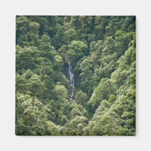 Himalaya-bos in de Mangdue-vallei, Bhutan Magneet