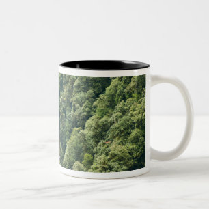 Himalaya-bos in de Mangdue-vallei, Bhutan Tweekleurige Koffiemok