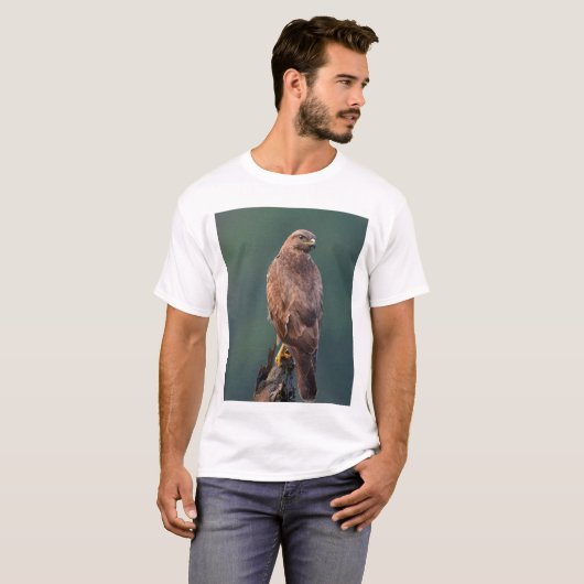 Himalaya Buzzard, donkere/ruftige morf, jonge volw T-shirt (Voorkant volledig)