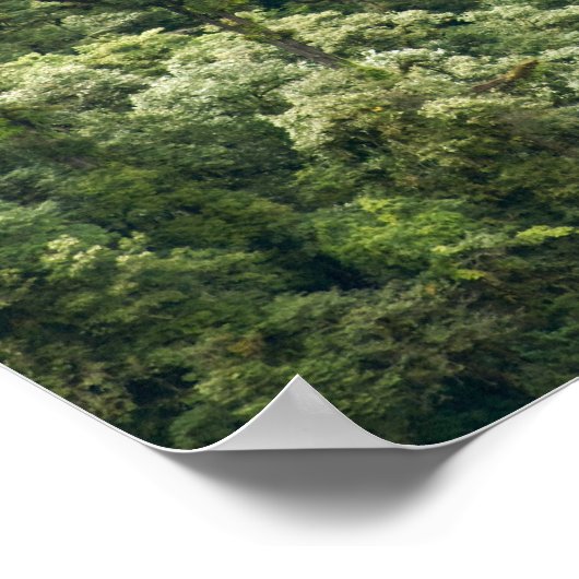 Himalaya in de Mangdue-vallei, Bhutan Poster (Hoek)