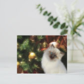 Himalaya kat Kerstmis Feestdagenkaart (Staand voorkant)