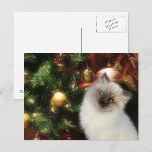 Himalaya kat Kerstmis Feestdagenkaart (Voorkant / Achterkant)