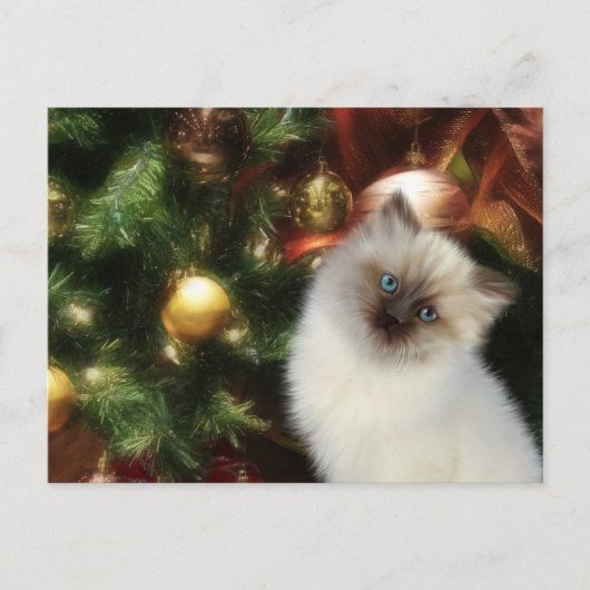 Himalaya kat Kerstmis Feestdagenkaart (Voorkant)