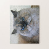 Himalaya kat met blauwe ogen legpuzzel (Verticaal)