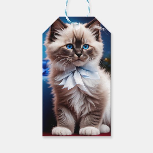 Himalaya Kitten Cadeau blauwe boog Cadeaulabel (Voorkant)