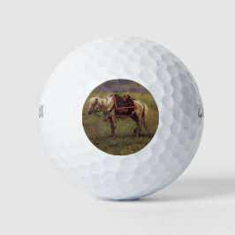 Himalaya (kleine paarden) (Vasily Vereshchagin) Golfballen