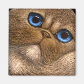 HIMALAYA PERZISCHE KAT Magneet (Voorkant)