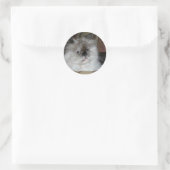 Himalaya Torti Point Ronde Sticker (Tas)