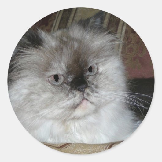Himalaya Torti Point Ronde Sticker (Voorkant)