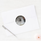 Himalaya Torti Point Ronde Sticker (Envelop)