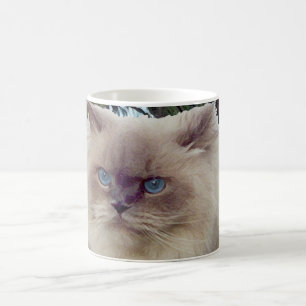 Himalayaan Perzische Kat Koffiemok