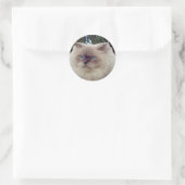 Himalayaan Perzische Kat Ronde Sticker (Tas)