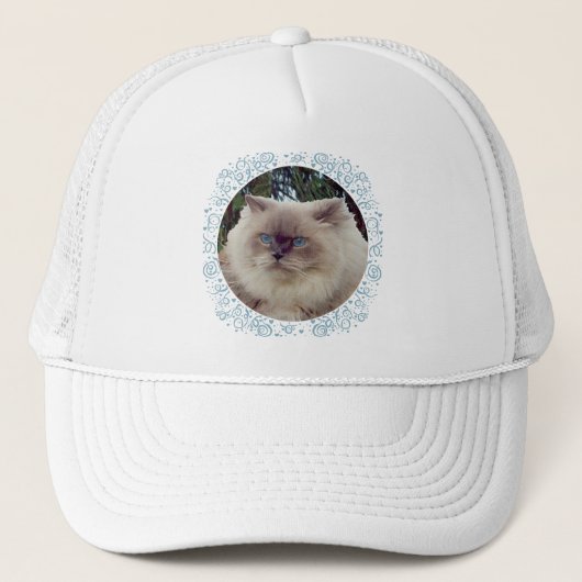 Himalayaan Perzische Kat Trucker Pet (Voorkant)
