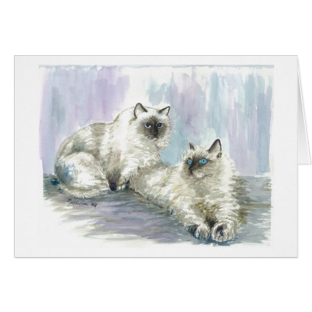Himalayaanse katten (Voorkant Horizontaal)