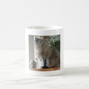 Himalayaanse Perzische Kat Koffiemok
