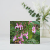 Himalayan Balsam Flowers Briefkaart (Staand voorkant)