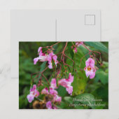 Himalayan Balsam Flowers Briefkaart (Voorkant / Achterkant)