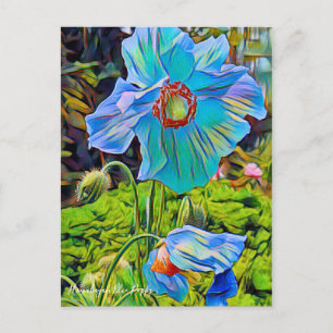 Himalayan Blue Poppy [Ansichtkaart] Briefkaart