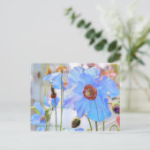 Himalayan Blue Poppy [Ansichtkaart] Briefkaart (Staand voorkant)