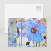 Himalayan Blue Poppy [Ansichtkaart] Briefkaart (Voorkant / Achterkant)