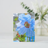 Himalayan Blue Poppy [Briefkaart] Briefkaart (Staand voorkant)