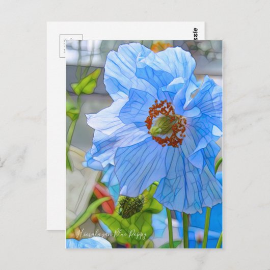 Himalayan Blue Poppy [Briefkaart] Briefkaart (Voorkant / Achterkant)