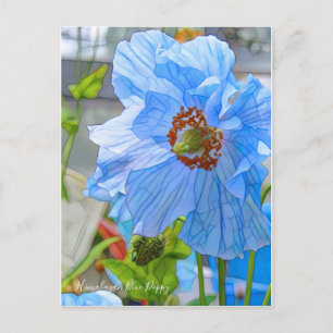 Himalayan Blue Poppy [Briefkaart] Briefkaart